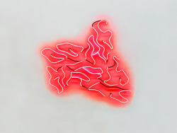 gallowhill:  Robert Lazzarini - Neon Sign