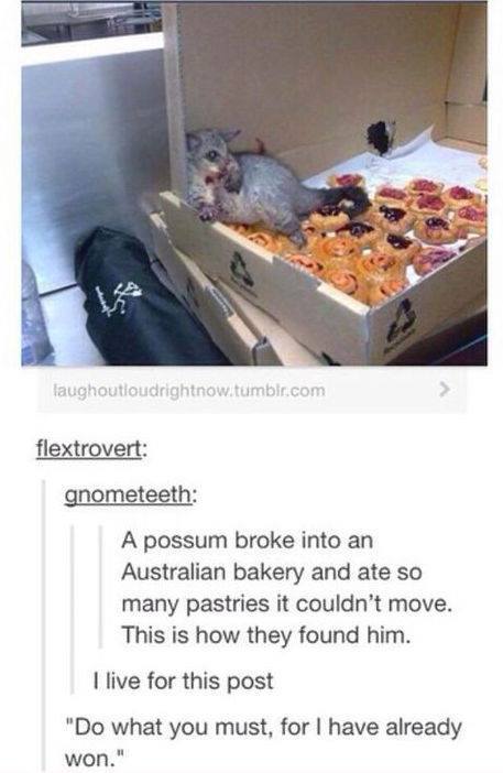 georgetakei:He triumphed over impossumble odds. Source: Eat, Drink, &amp; Be