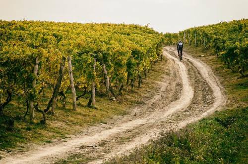 pedaled-japan:“I was born free, and that I might live in freedom I chose the solitude of the fields;