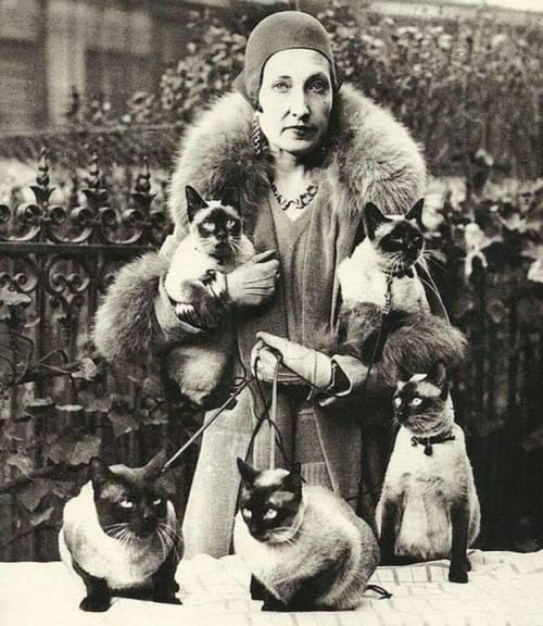 Lady with cats, 1930. Nudes & Noises adult photos