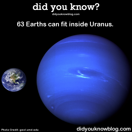 baguette-kun:  did-you-kno:  63 Earths can fit inside Uranus.  Source  damn straight