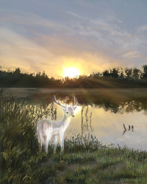 A Peaceful Morning
