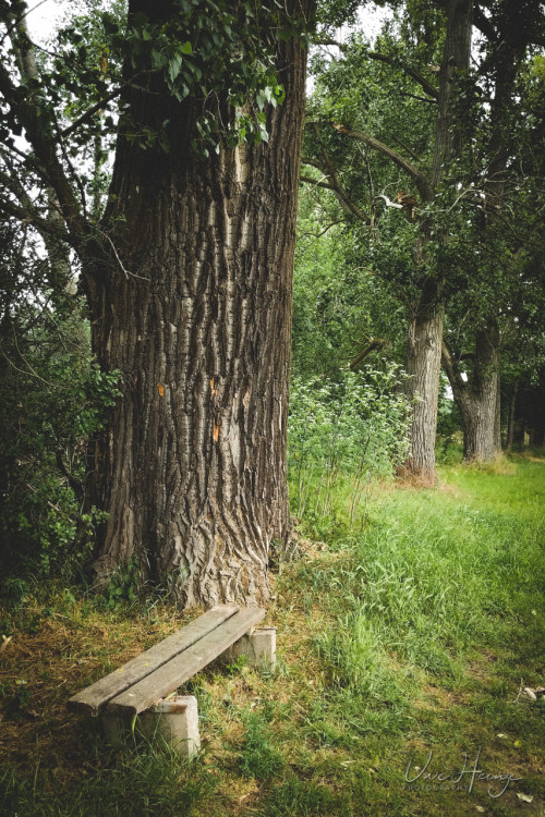 old bench &hellip; | uwhe-arts