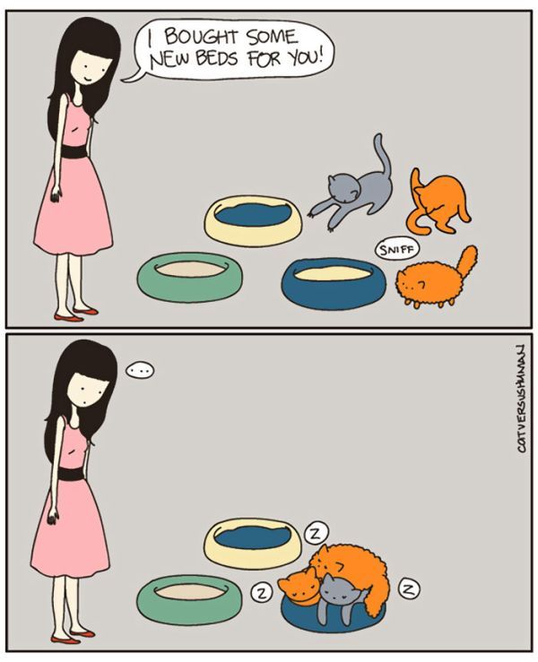 lurkdusoleil:  glitterdammerung:  jeniphyer:  pr1nceshawn:  What it’s like to have
