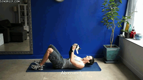 fitnessgifs4u:  9 Exercises You Can Do With Your Cat…(other five HERE on Cheezburger.com)