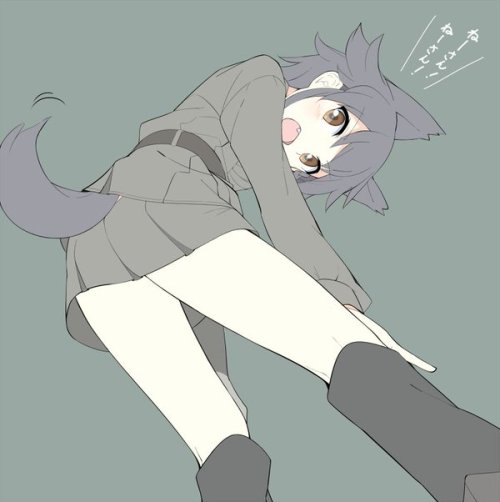 hiyaron01:  もぶさんはTwitterを使っています: “ワンワンワン(ねーさん！ねーさん！ねーさん！) https://t.co/NzX6ED4uCi” 
