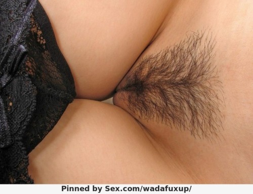 XXX Hairy Pussy Land photo