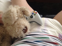 littleadventuring:  Played some Xbox but