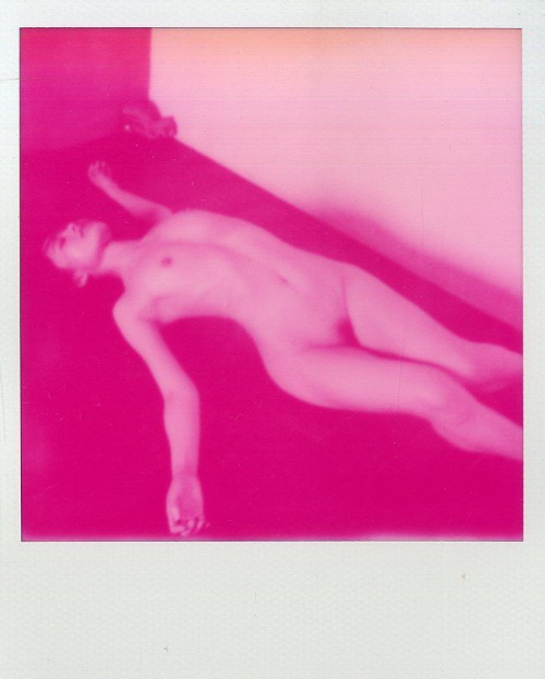 coconutjam2:  Nobuyoshi Araki, etude de nu, Polaroid                la vie en rose