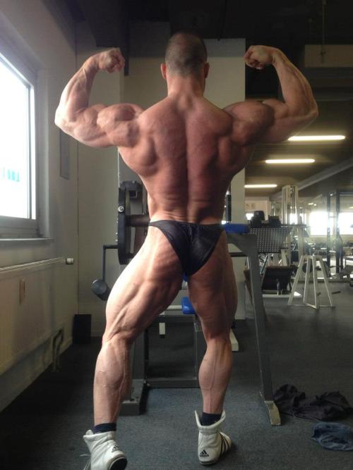 mitos:  Roman Fritz (2013) (via)