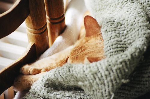 upthespiralstaircase:Autumn'ness on We Heart It - weheartit.com/s/msao5XYE