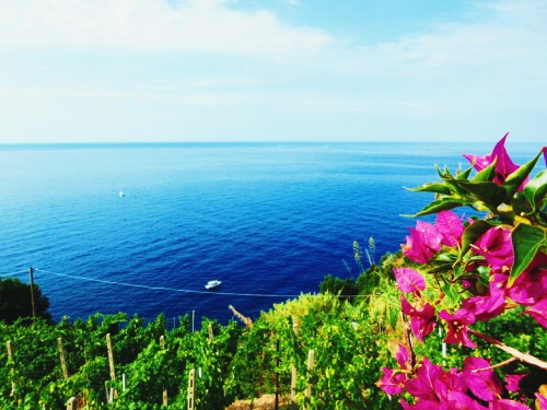 thebadwolf:  Cinque Terre, Italy