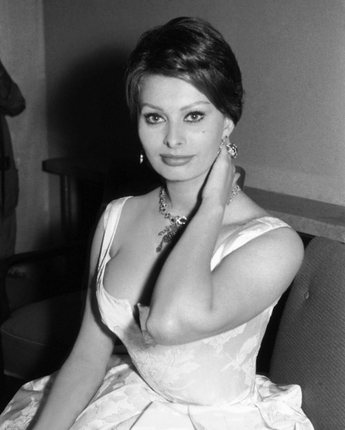 theladyintweed:Sophia Loren 