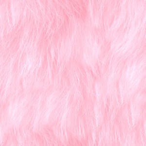 aesthefrick:  Pink Fur  
