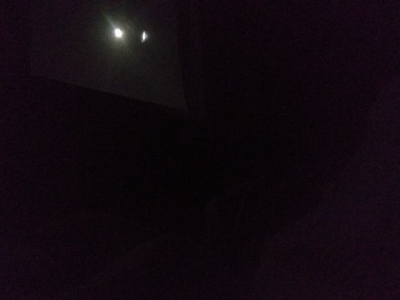 milliemo0:thespectacularspider-girl:quinzelade:There is bright moonlight streaming into my room, and I am content.That’s good.It seems content too.