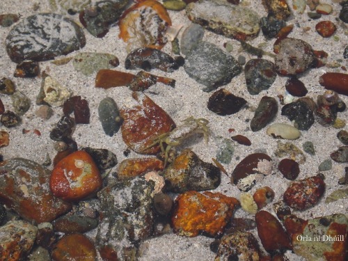 orlathewitch: Rainbow Rockpool Connemara Co Galway, Ireland