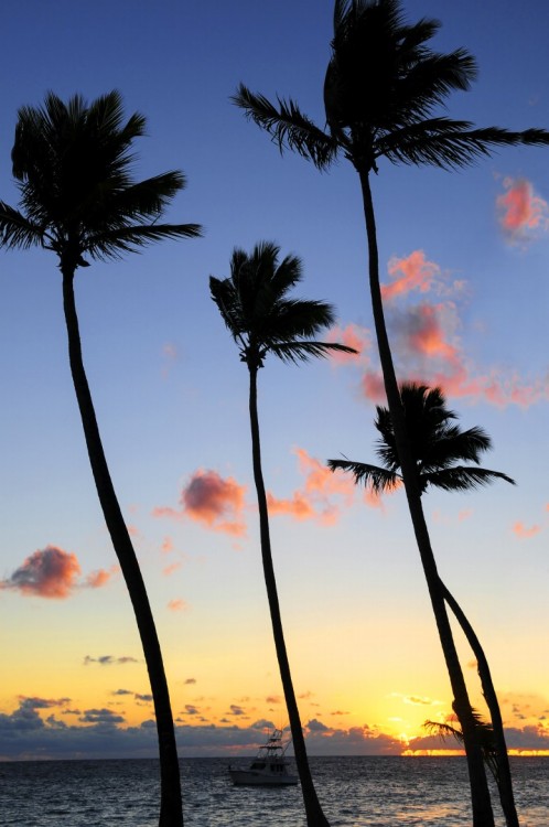 0ce4n-g0d:  Tropical sunrise by Elena Elisseeva 