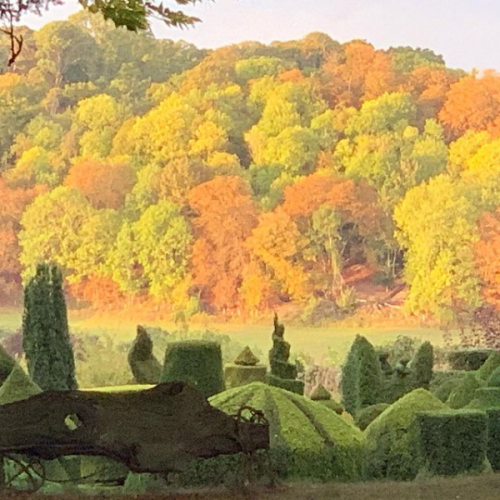 Photos of Friar Park from Olivia Harrison’s Instagram [x]NOTE: Happy Birthday, George Harrison! Duri