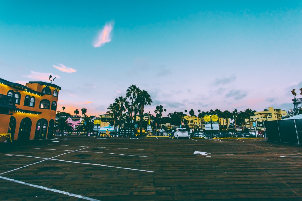 boywonderphoto:  take me back to LA