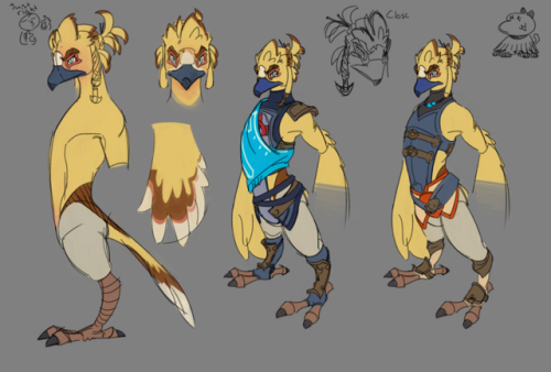 It’s my version of Link as a rito based on @titosuarez Idea/AU; their design is a lot friendlier loo