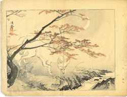 antipahtico:    Yoshitani Seisei 1898  