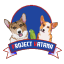 projectkatana