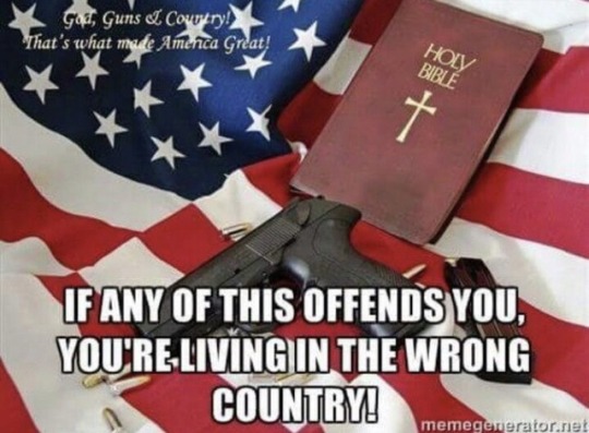 southernsideofme:  koffeebitch:  justanoldhippie: f-lrsu-51:   conservativeright22:    Fuck Islam, Fuck the traitors who support it 🖕😡🖕🇺🇸   Bullshit!! Not at my house….USA all the way….FUCK MUSLIMS!!      Yes I will love to fucking