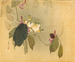 fashionsfromhistory:  Birds Perched on Wisteria