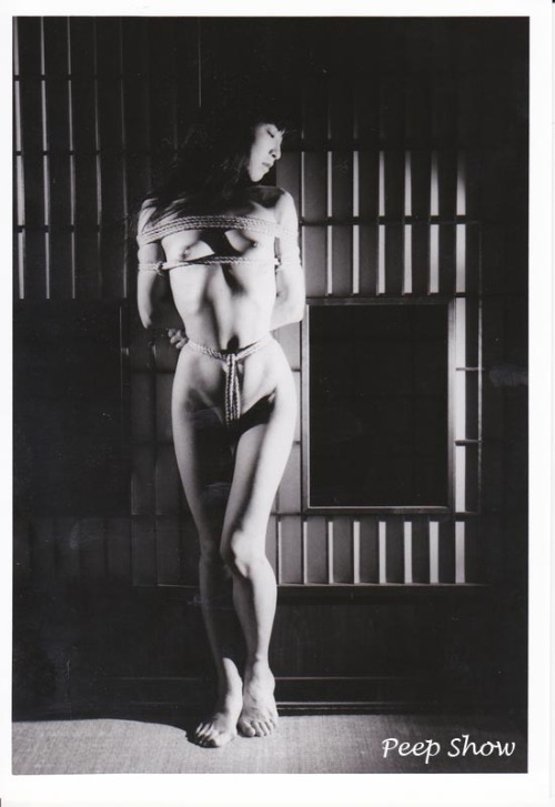 yuritalow: Model ／ 春原悠理　Youri Sunohara Rope／不二秋夫　Akio Fuji *2015/5/8 更新