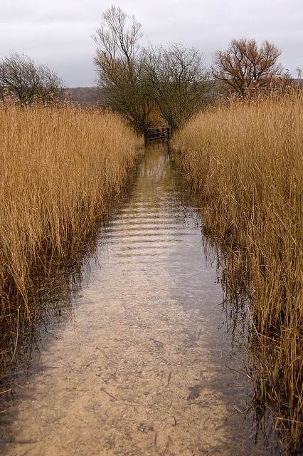 valscrapbook:  elorablueFlooded path by (Mick) on Flickr.