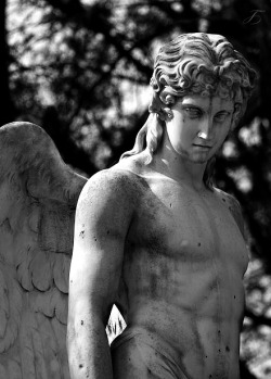 thenightwhisperer:  Angel Man © Symboter