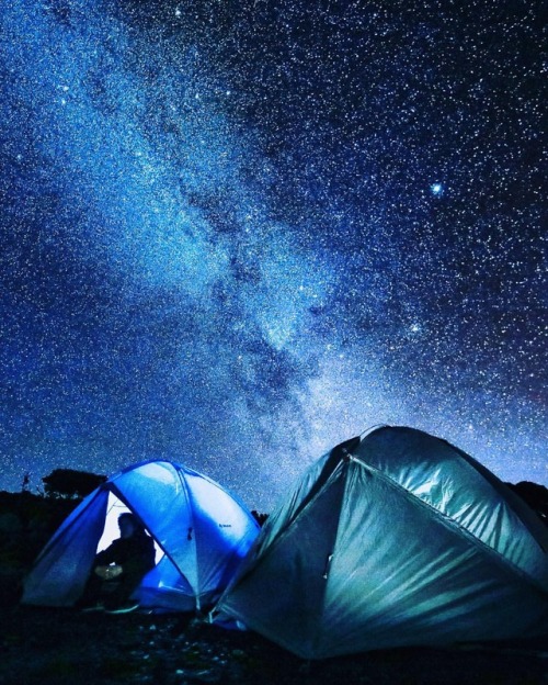 Under the stars ✨(at Mt. Kilimanjaro)
