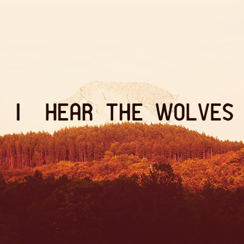 I Hear The Wolves - For Two That Came Out Of The Wilderness (listen Here)
