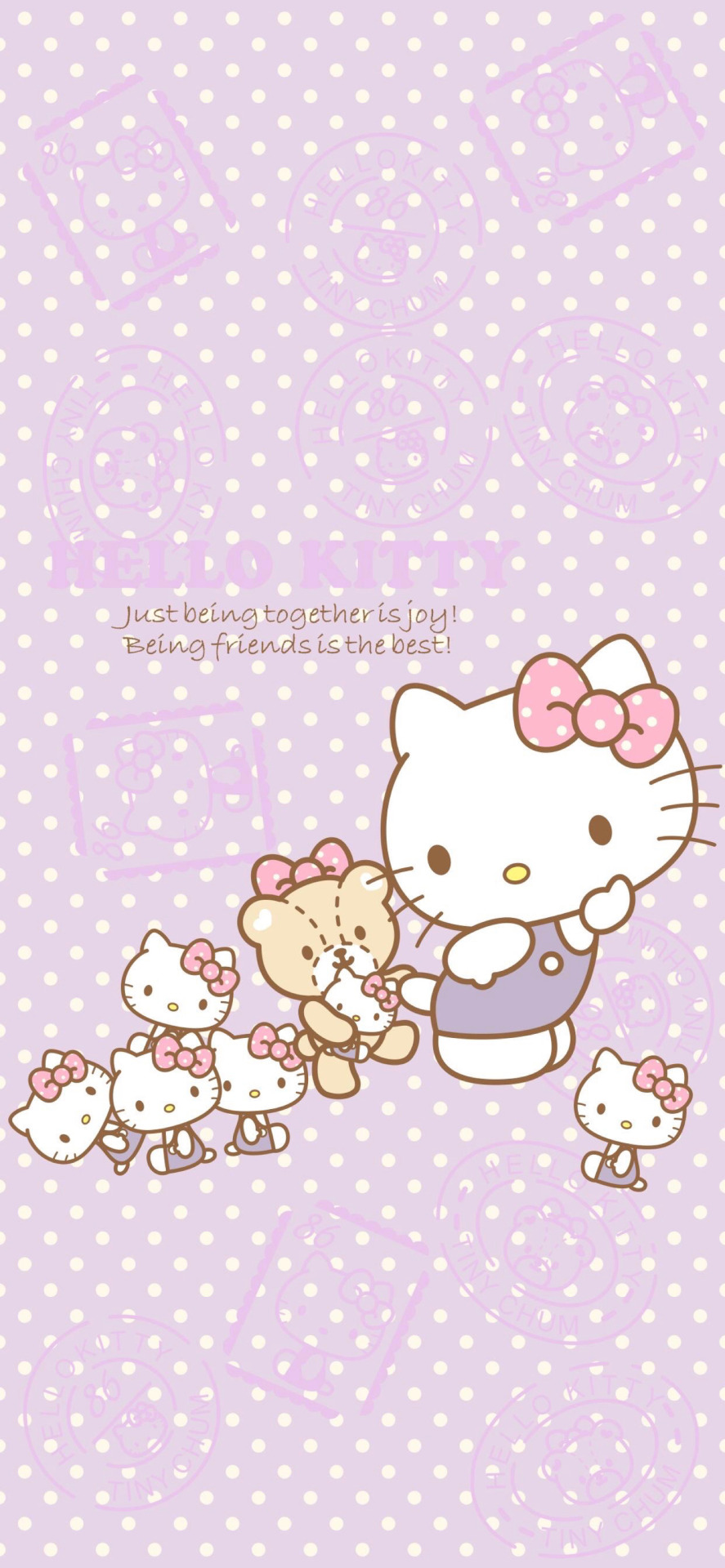 HD hello kitty purple wallpapers  Peakpx