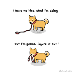 chibird:  I have no idea what I’m doing either but I’ve figured a lot out in these past 2 years! :D Take control of your life the best you can.