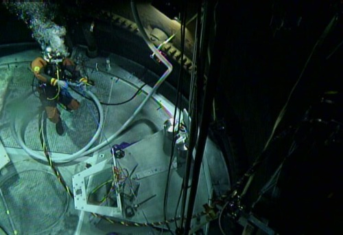 Nuclear diver at Exelon&rsquo;s Peach Bottom Nuclear Generating Station