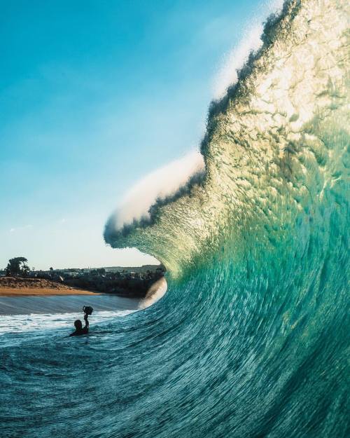raizdesereia:  RAIZDESEREIA