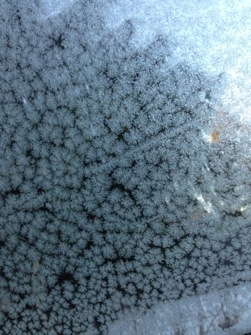 lilspirit:  frosted windows
