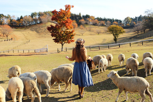 [Nov. 24th] Fanny&rsquo;s magical adventures in the farmlands of Gunma. See pictures in comments for