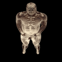 graphonaute:a 3D version of this 2D MRI body scan 