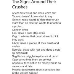 zodiac-signs-nonsense:  If you’re into