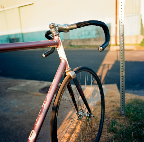 soloadventures:  Icarus MAX Track  Ektar 100Hasselblad 500c/mZeiss T* Distagon 50mm John Watson