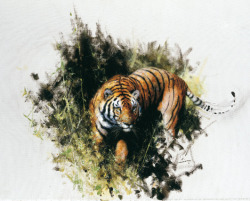 tigertimenow:  This beautiful print “Sketch