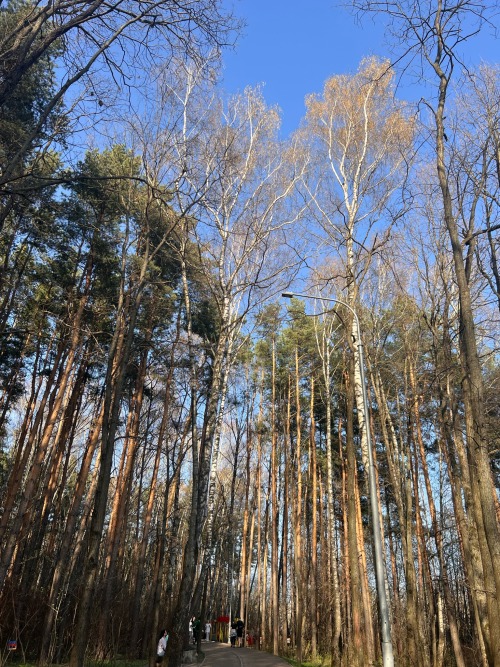 Whoa. That's Spring. Are You Know? 