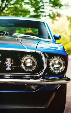 h-o-t-cars:    Ford Mustang | Source   