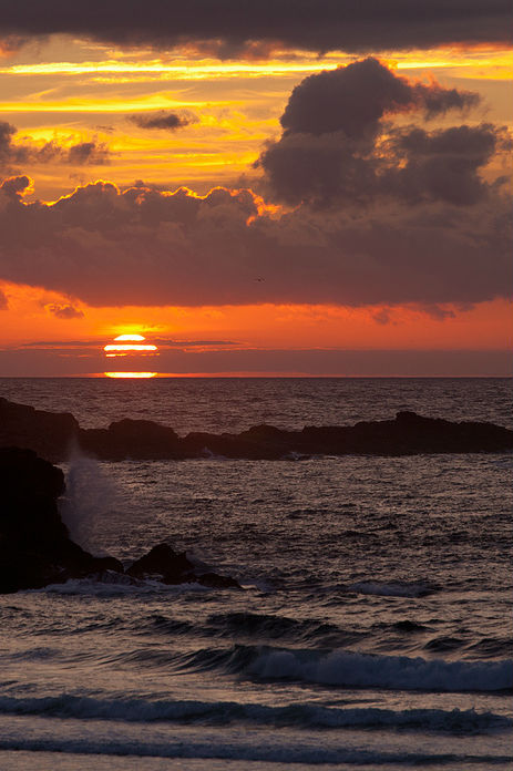 Kingdom Of The Ocean