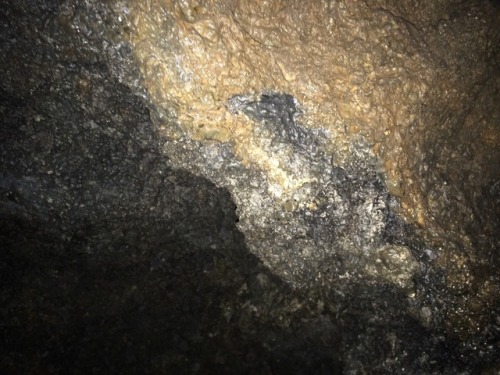 ilovenotmantheless:Saw a hole in the ground and decided to check it out. Lava tubes are neat. Unrela