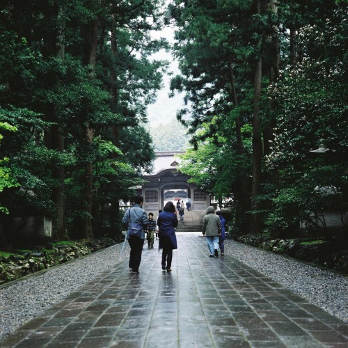 naruki-hashimoto: 彌彦神社