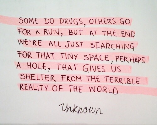 lush-ella:  lush-ella