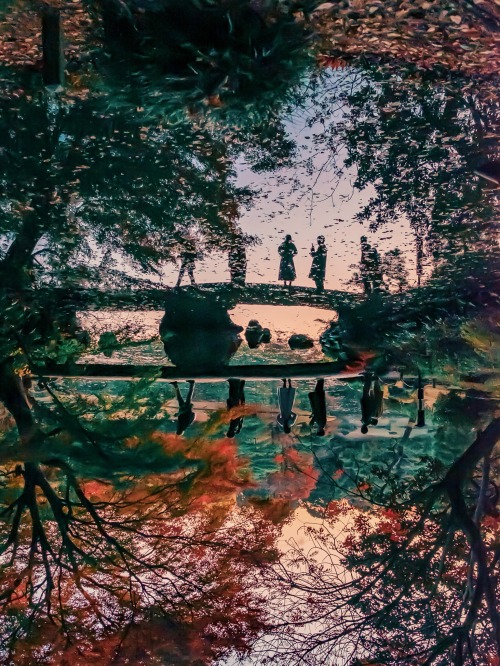 The Autumn Story Begins In A Japanese-style Garden.